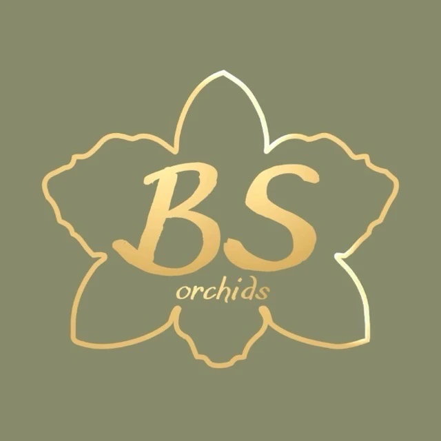 🌸BS Orchids☘️ орхидеи и не только️