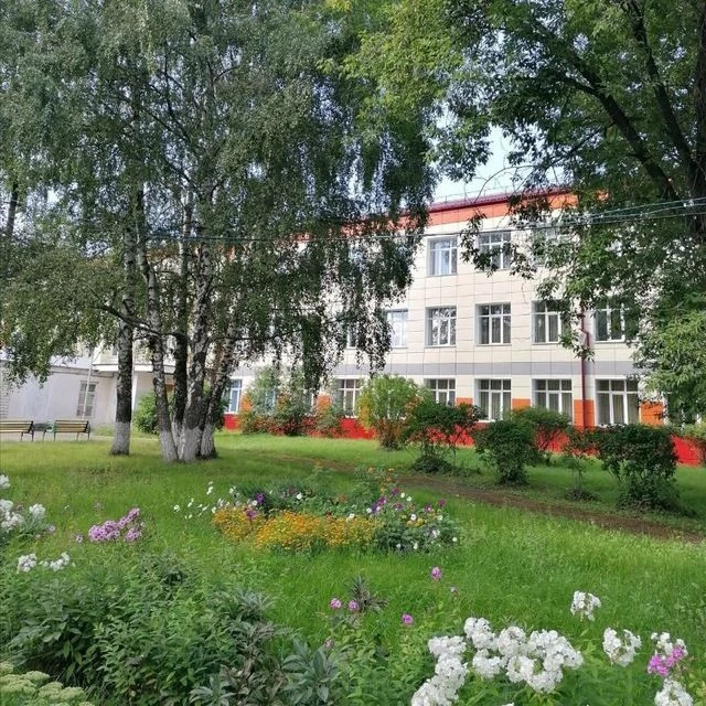 О нашей школе. Дмитровская школа-интернат