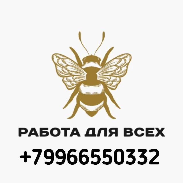 Работа для всех