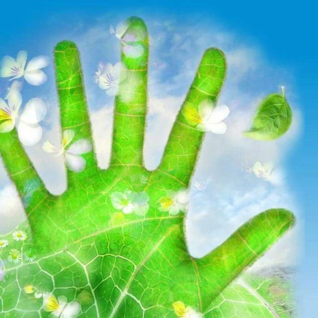 Логотип канала