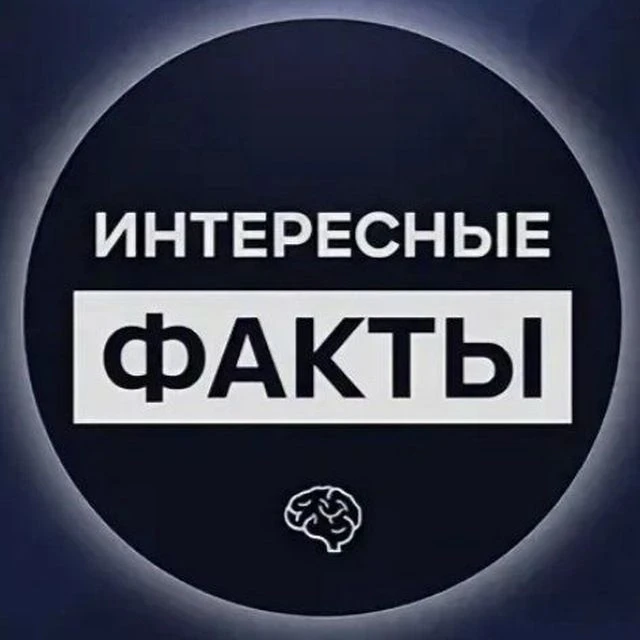 Интересные факты — канал в мессенджере MAX