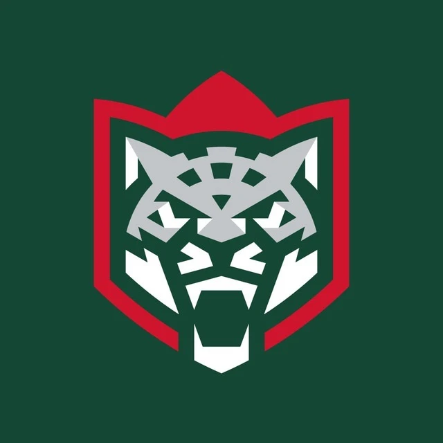 ХК «Ак Барс»