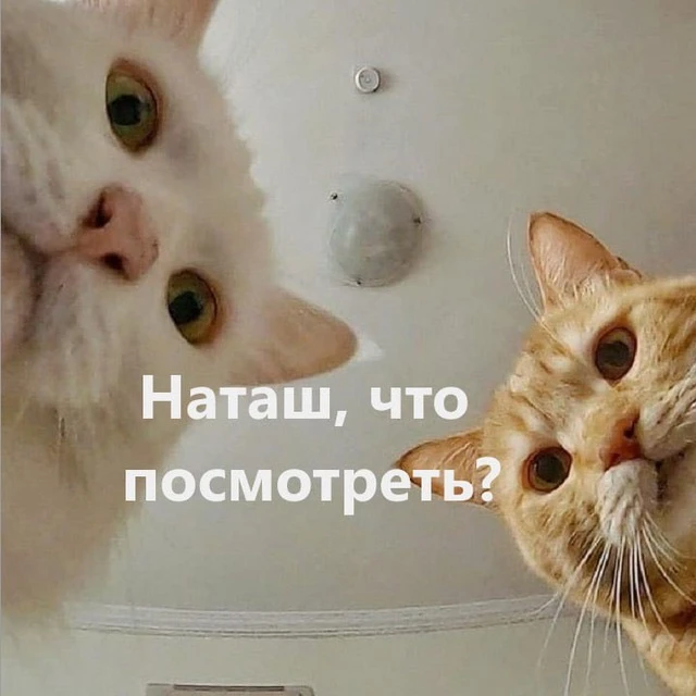 Наташ, что посмотреть⁉️ — канал в мессенджере MAX