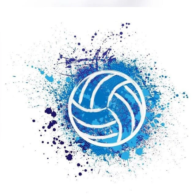 МАУ ДО "СШ по ИВС"