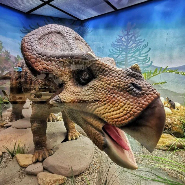 Государственный Дарвиновский музей