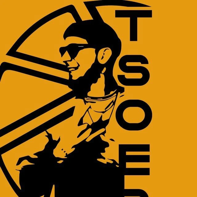 TSOER — канал в мессенджере MAX