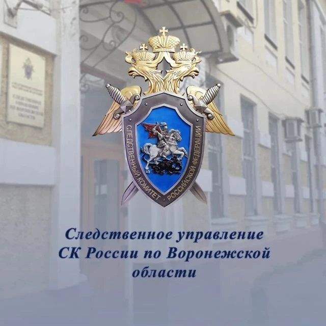 Следком Воронеж — канал в мессенджере MAX
