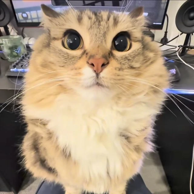 _MrSanekki_