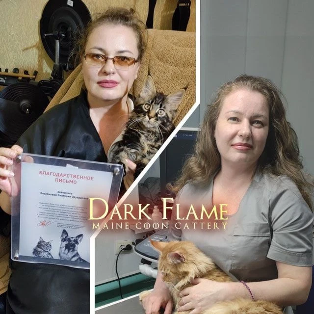 🐱 Кото-ВетПросвет | Ваш гид в мире кошачьей жизни!