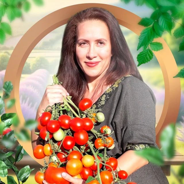 Логотип канала