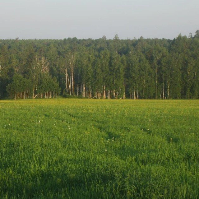 Администрация Катарбейского МО