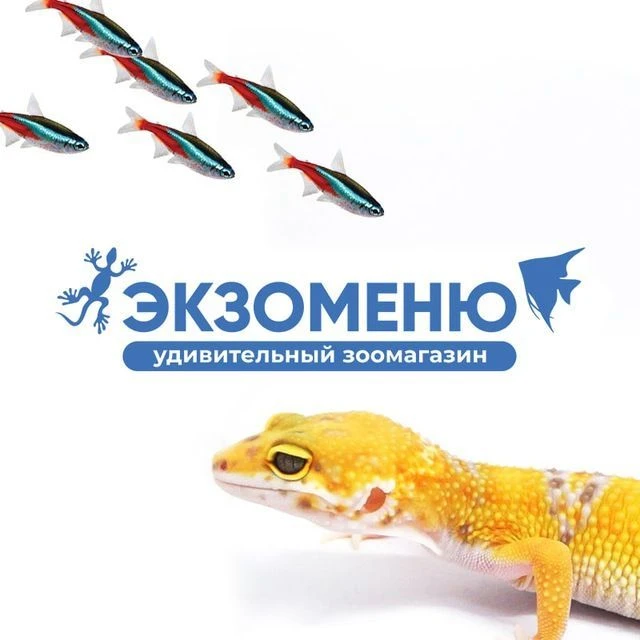 EXOMENU.RU | ЭКЗОМЕНЮ — канал в мессенджере MAX