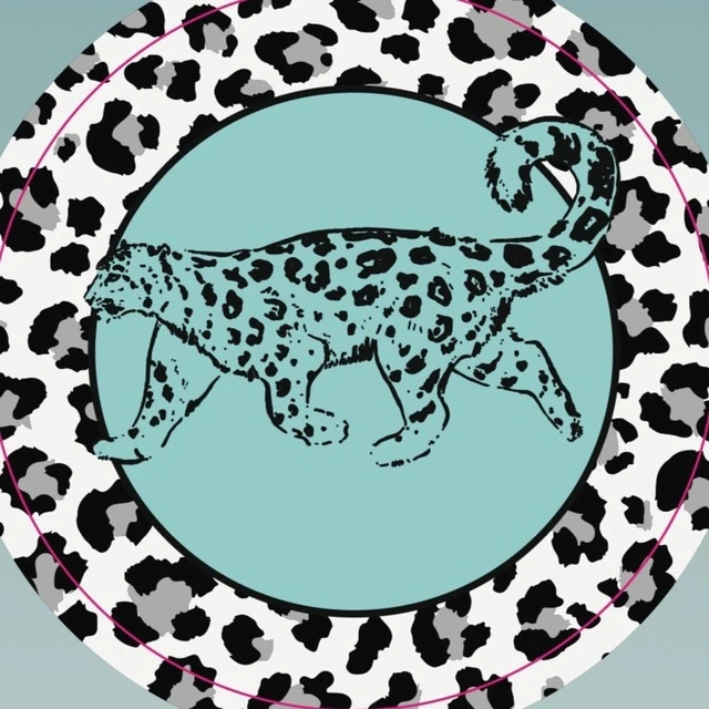 Друзья снежного барса