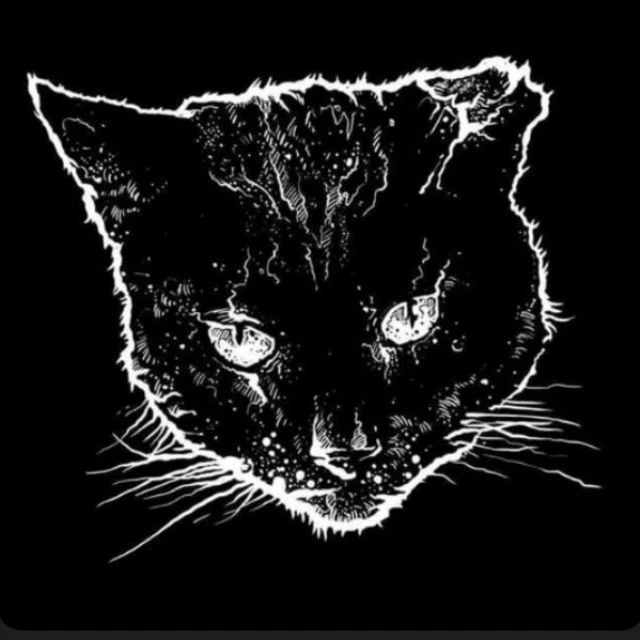 КОТЫ ВОИТЕЛИ ⭐⭐⭐ — канал в мессенджере MAX
