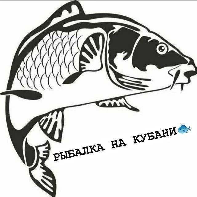 РЫБАЛКА НА КУБАНИ