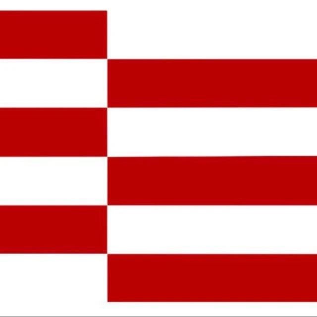 Red Flag — канал в мессенджере MAX