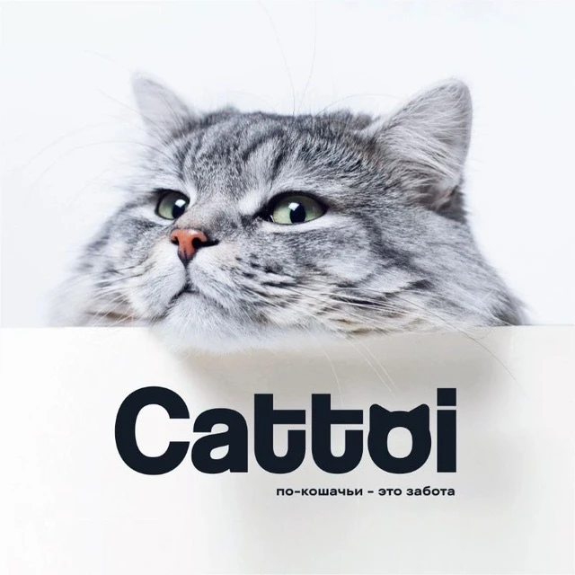 Cattoi — канал в мессенджере MAX