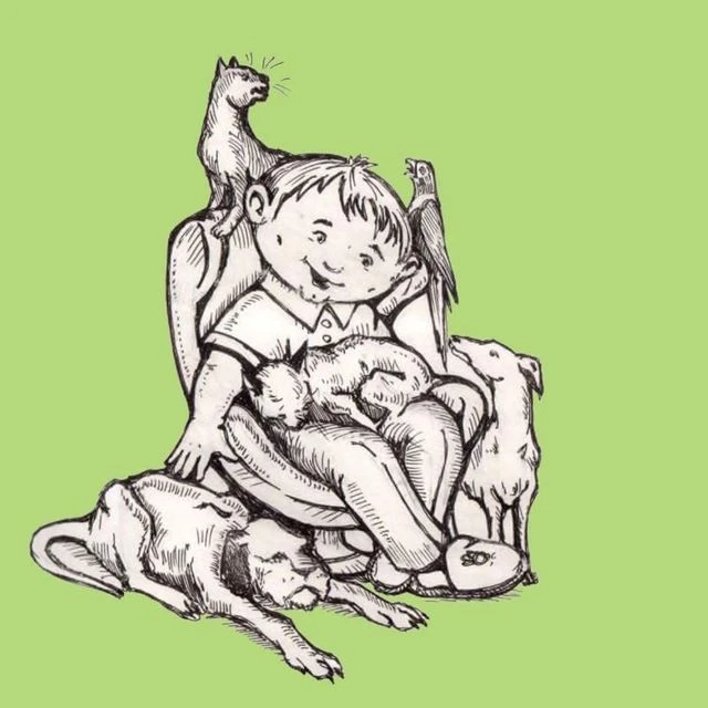 Возьми Друга Домой (собаки и кошки)