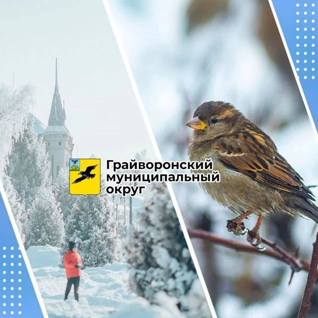 Администрация Грайворонского округа