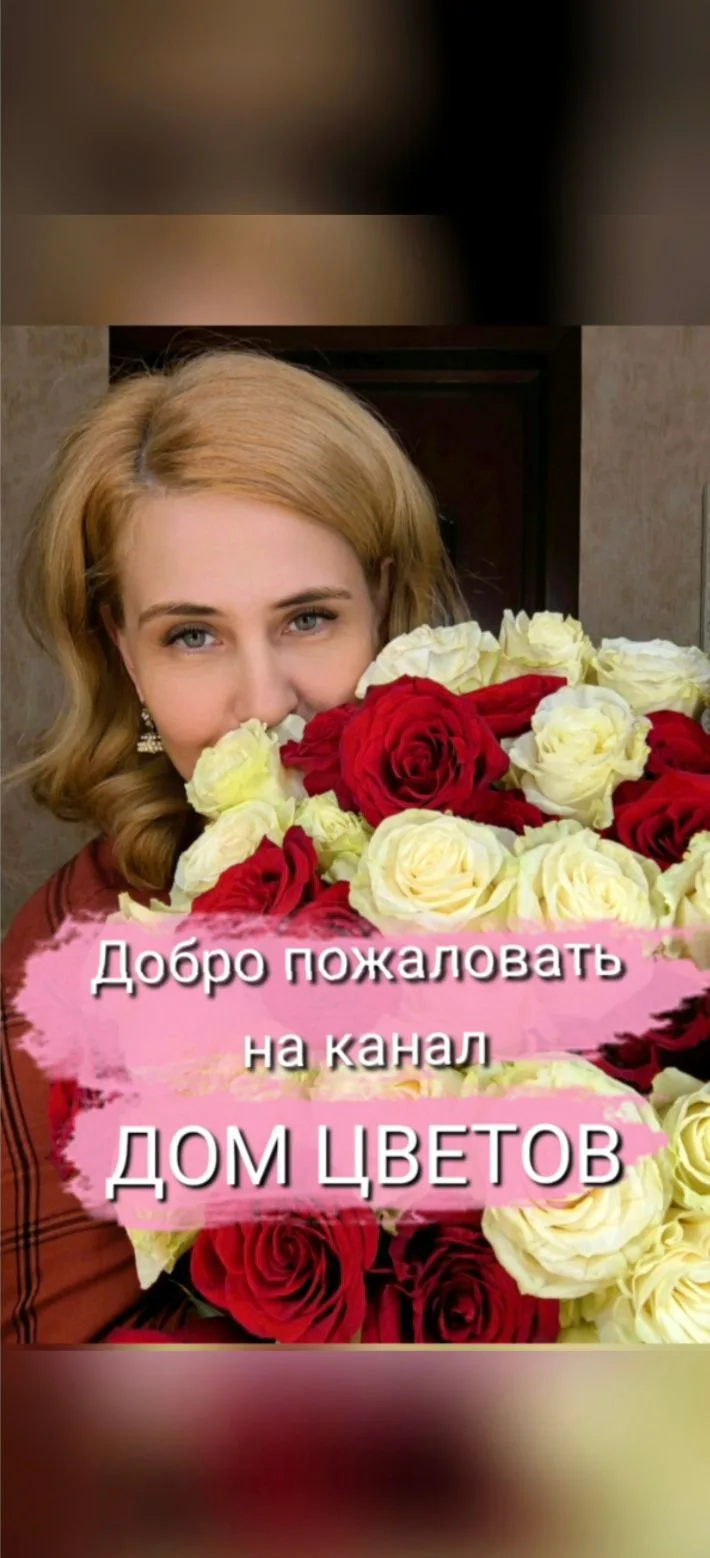 Дом цветов I пеларгонии, традесканции и др.