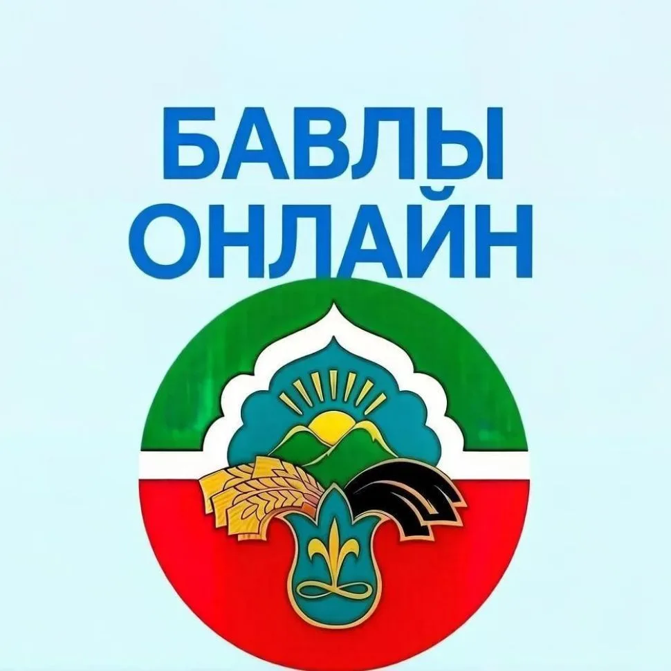 Бавлы Онлайн — канал в мессенджере MAX
