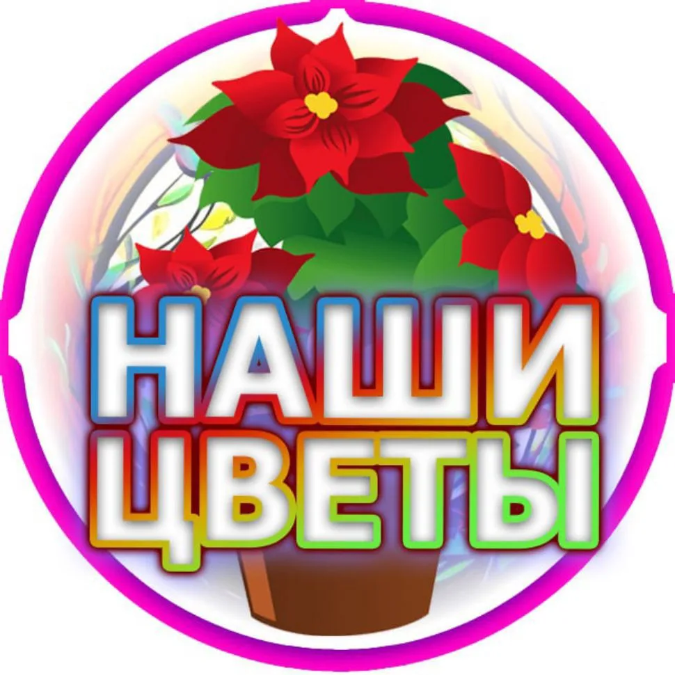 Наши цветы | Советы | Лайфхаки — канал в мессенджере MAX