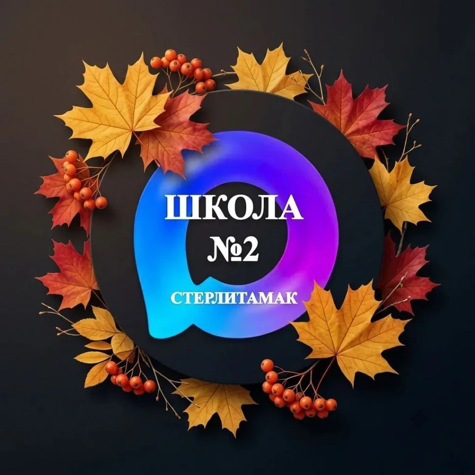 МАОУ "СОШ №2" ГО г.Стерлитамак РБ — канал в мессенджере MAX