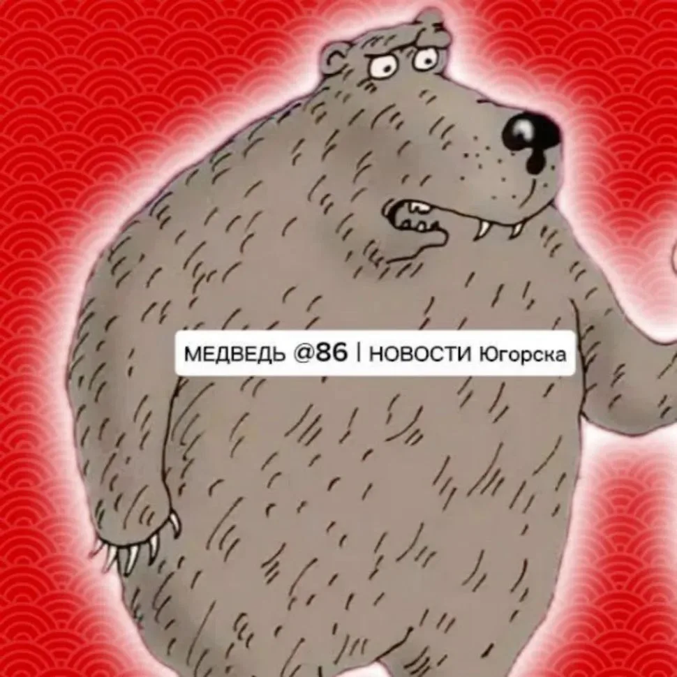МЕДВЕДЬ @86| НОВОСТИ ЮГОРСКА — канал в мессенджере MAX