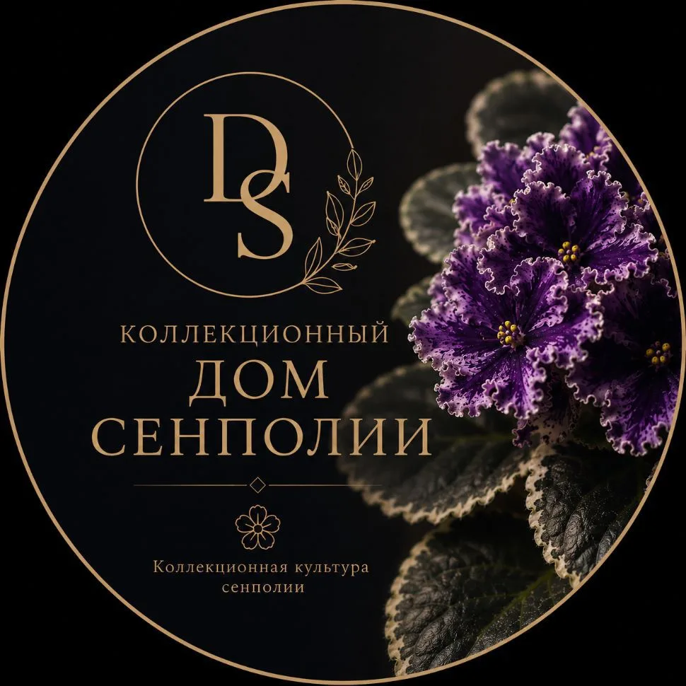 Дом Коллекционной Фиалки | Питомник фиалок "Хромыхи" — канал в мессенджере MAX