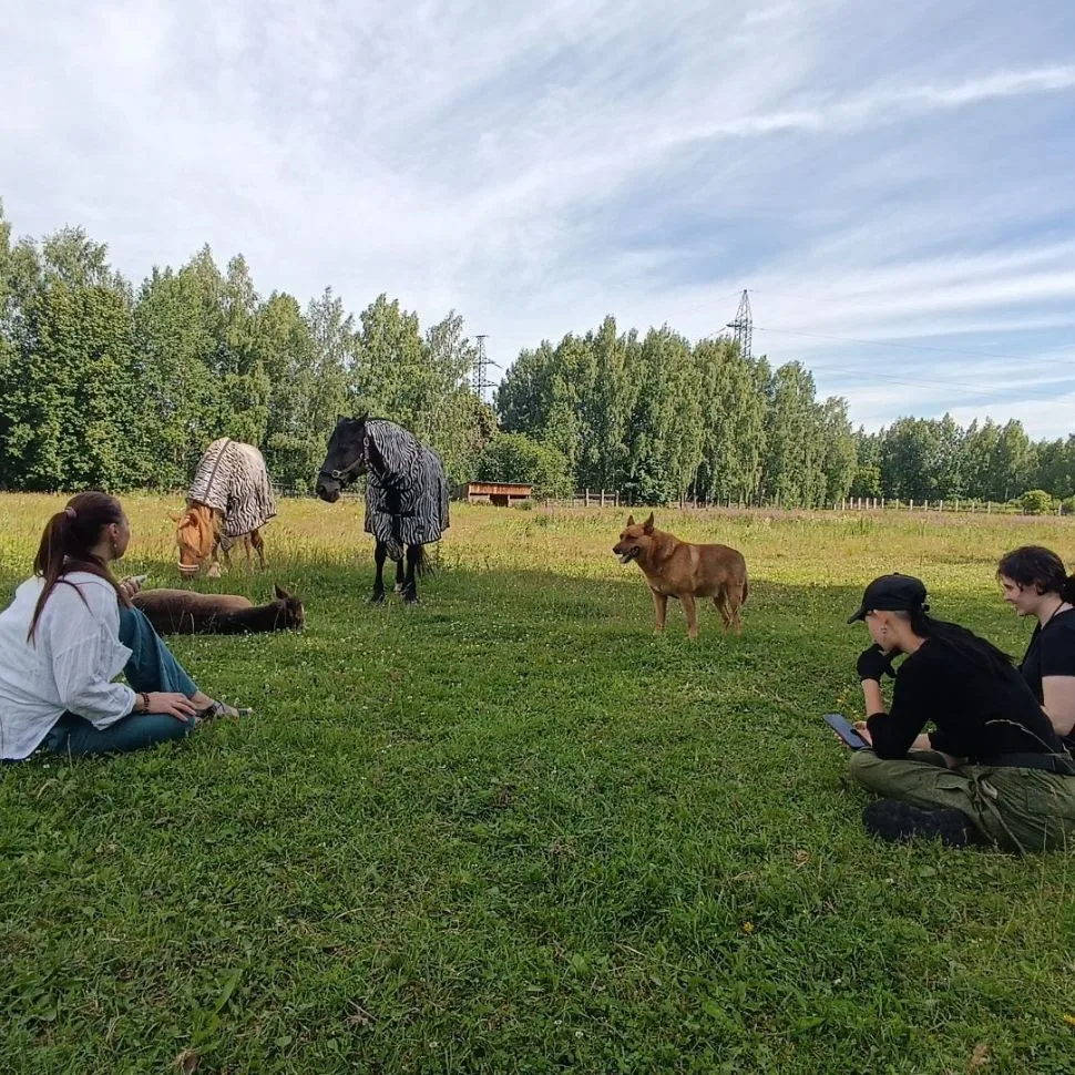 Мир свободной лошади Royal Horse Кострома — канал в мессенджере MAX