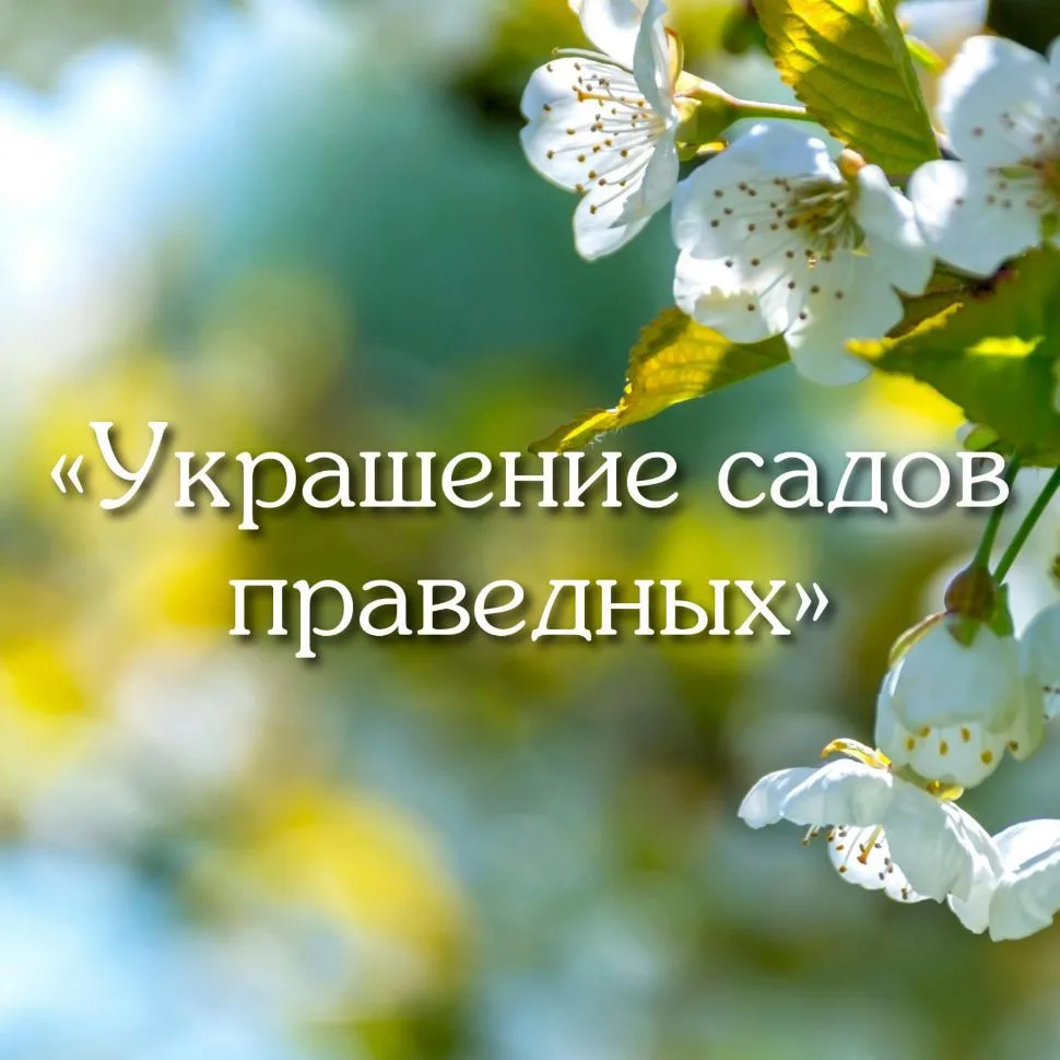 «Украшение Садов Праведных» — канал в мессенджере MAX