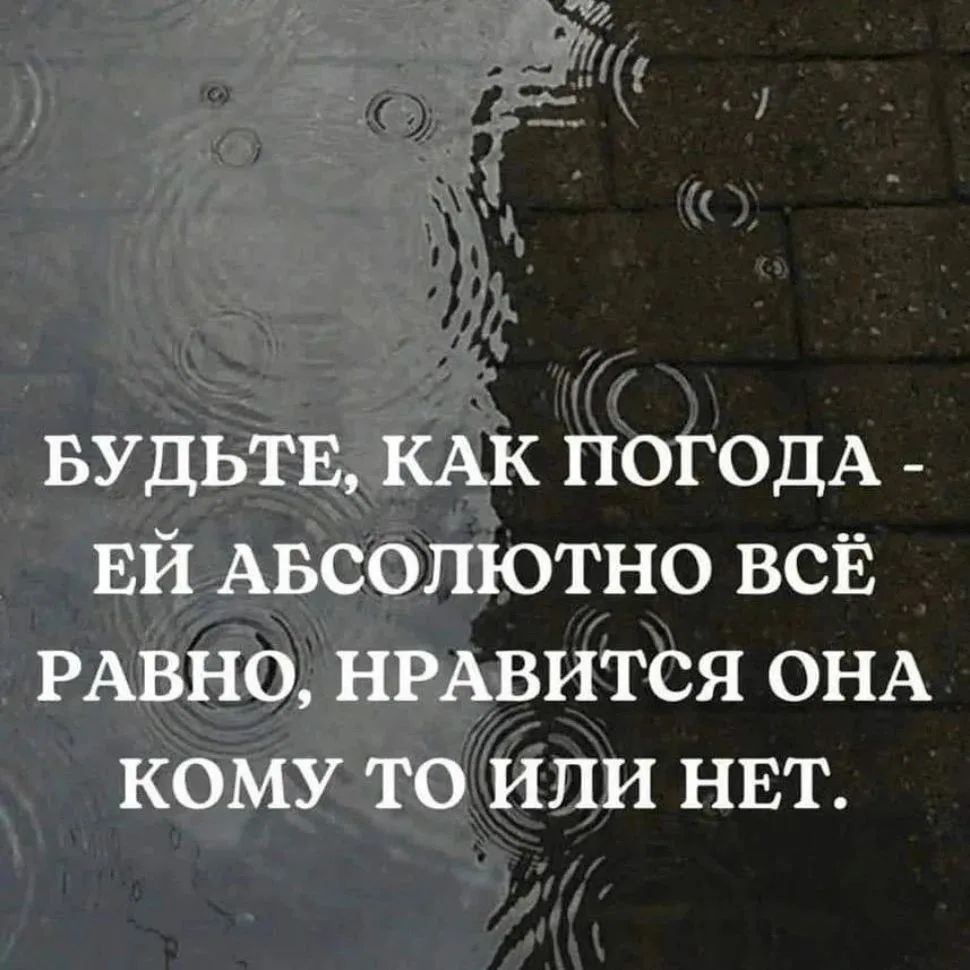 Адыгея и край — канал в мессенджере MAX