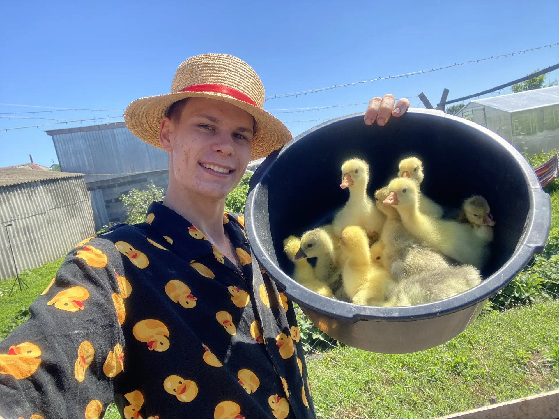 Кирилл Степанов | Молодой фермер 👨‍🌾