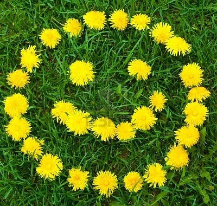 МКДОУ "Детский сад  2 " Одуванчик"  станица Преградная"