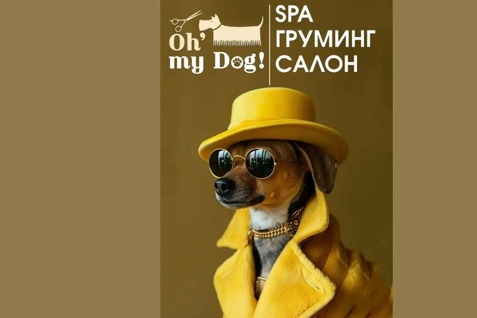 Фото самых  красивых питомцев в салоне Oh 'my Dog 📸 — канал в мессенджере MAX