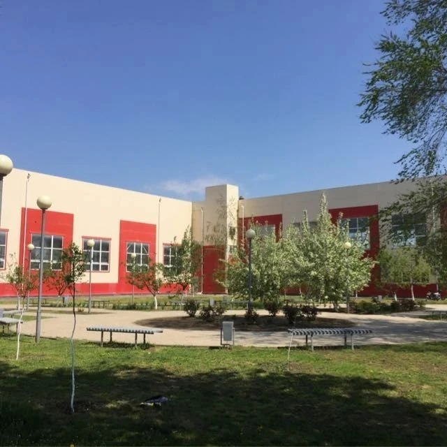 МБУ ДО СШ Багаевского района