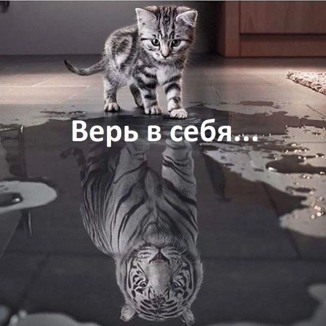 ZE_BEST_1 спорт — канал в мессенджере MAX