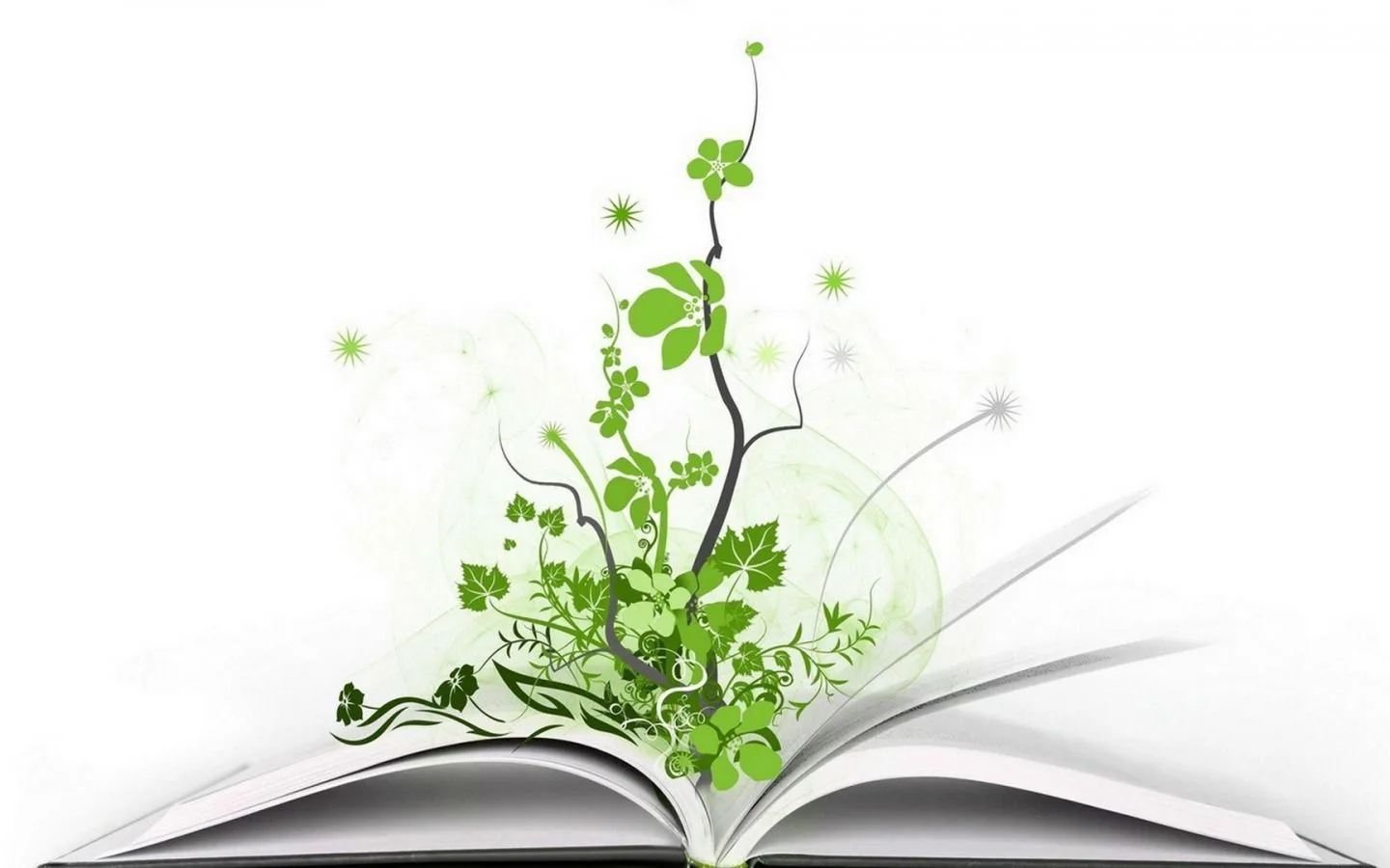 Управление образования Солнечного округа