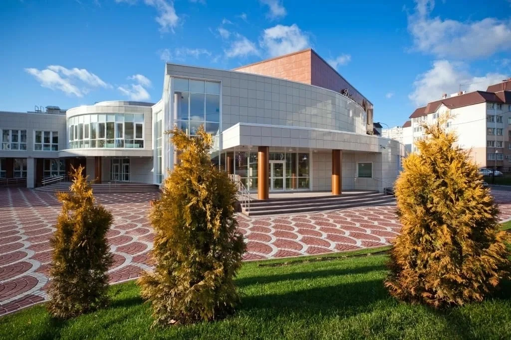 МАУДО "ДШИ г. Видное"