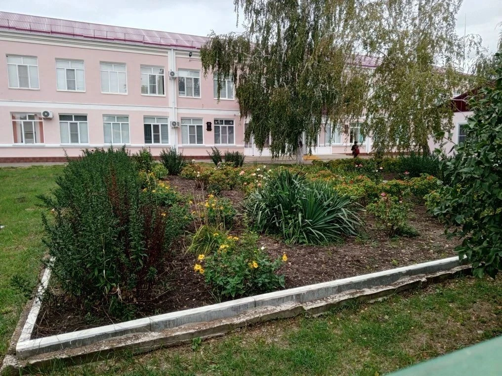 МОБУСОШ № 15  МО НОВОКУБАНСКИЙ РАЙОН