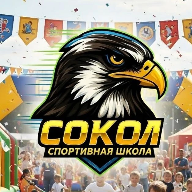 МАУ ДО СШ "Сокол" — канал в мессенджере MAX