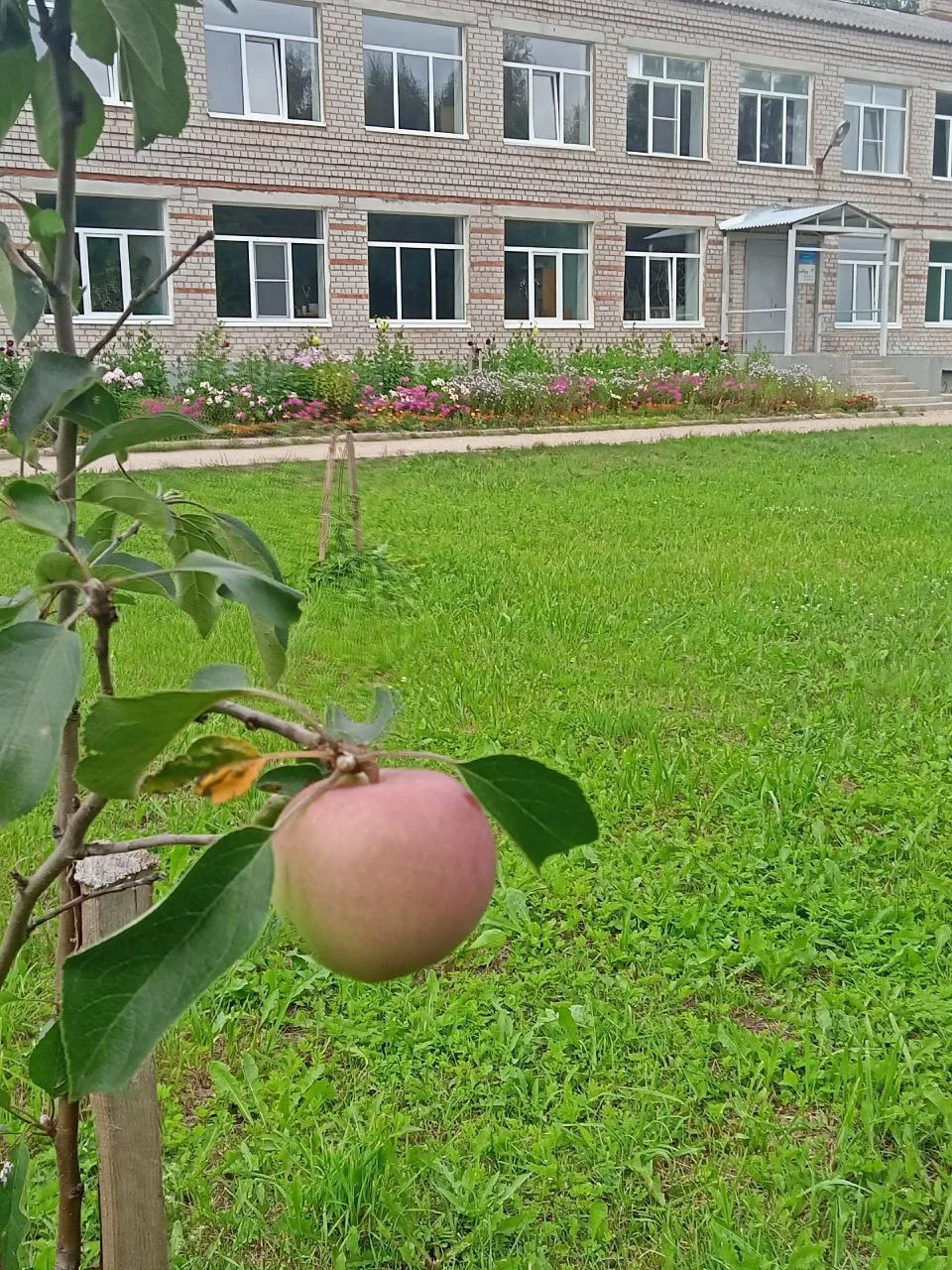 МОУ "Маловосновская школа"