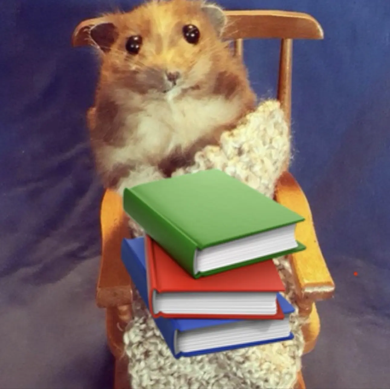 Уютный разбирает | Инвестиции