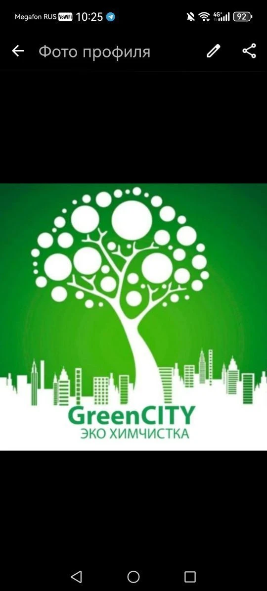GreenCity эко-химчистка