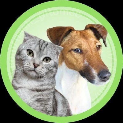 Наши питомцы