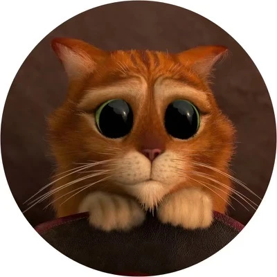 Милые котики😻 — канал в мессенджере MAX