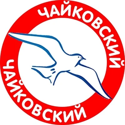 Чайковский 59 — канал в мессенджере MAX