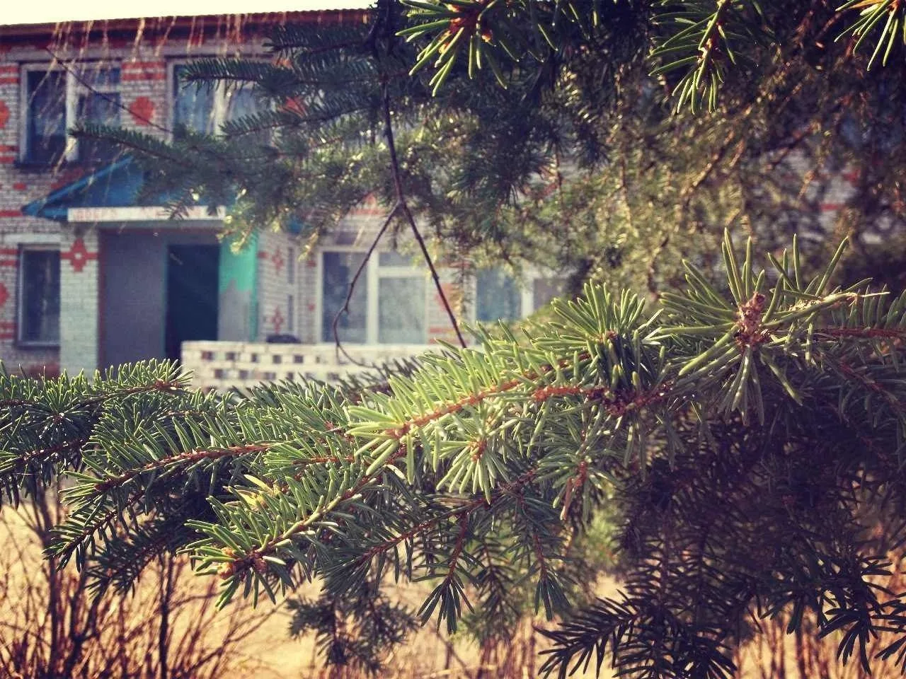 МБОУ"Житнянская СОШ"