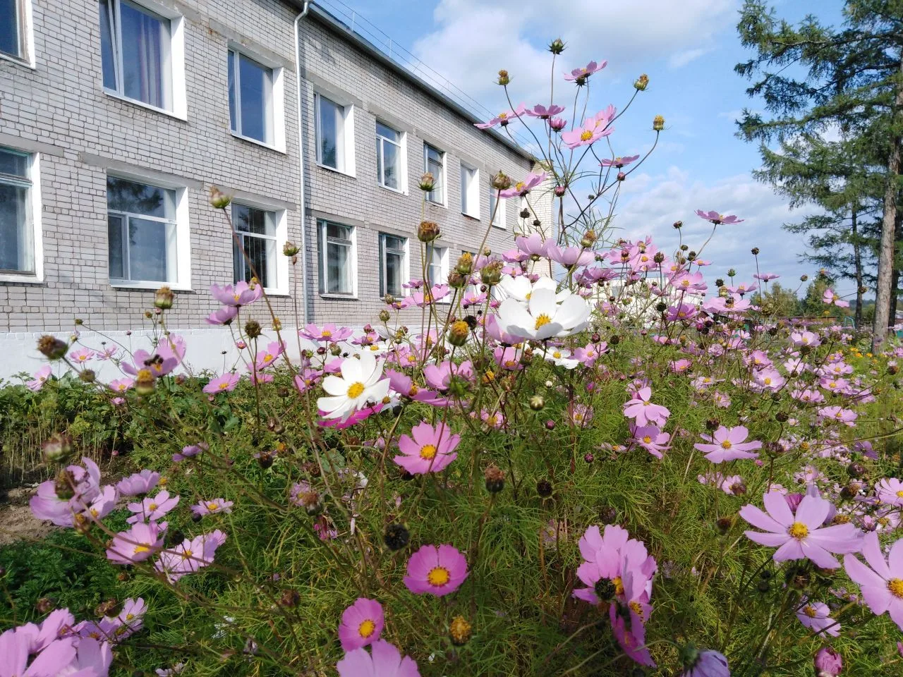 Логотип канала