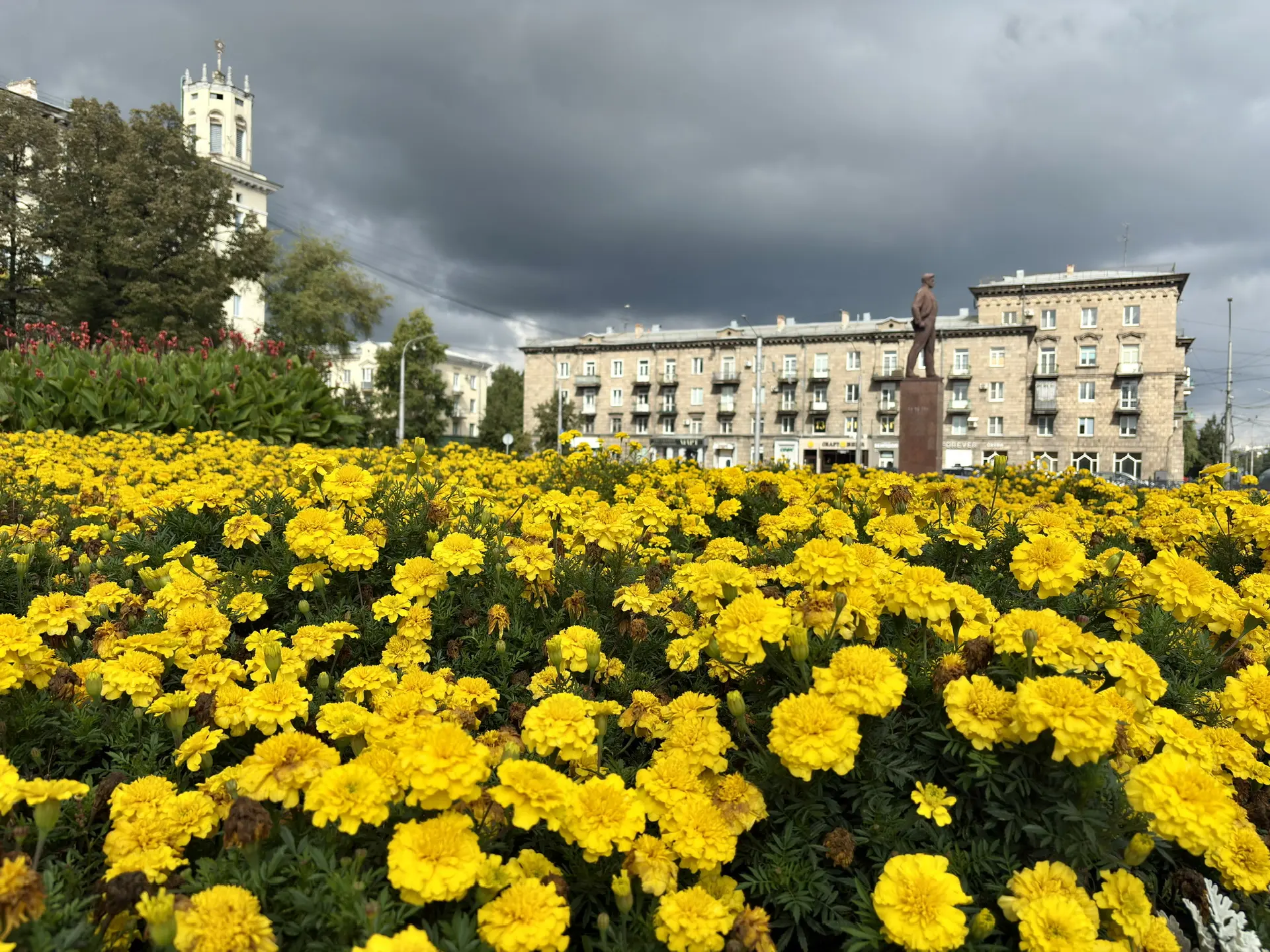 Администрация Центрального района города Новокузнецка — канал в мессенджере MAX